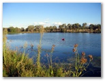Lake Inverell Reserve - Inverell: A large number of community organisations contributed to the beautification of this area.