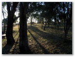 Lake Inverell Reserve - Inverell: Long afternoon shadows in the picnic area.  The picnic area was developed in the late 1900's.