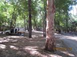 Adels Grove Caravan Park - Lawn Hill National Park: Camping in 