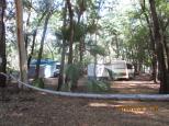 Adels Grove Caravan Park - Lawn Hill National Park: Camping in 