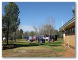 Oasis Caravan Park - Leeton: Good facilities for drying clothes