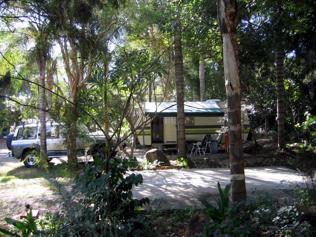 Lismore Palms Caravan Park - Lismore: Shady powered sites for caravans