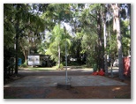 Lismore Palms Caravan Park - Lismore: Drive through powered site for caravans