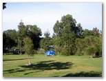 Lismore Tourist Caravan Park - Lismore: Sites for tents and campers