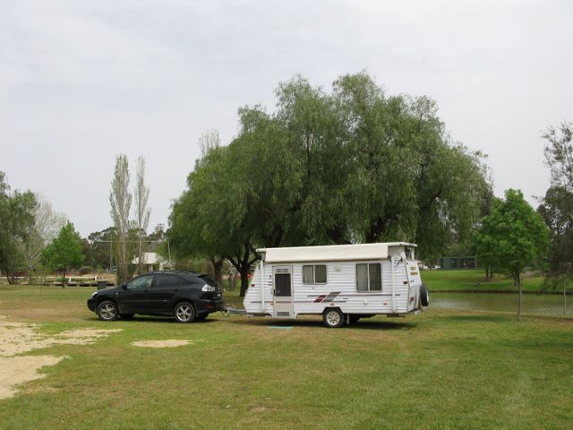 Lockhart Caravan Park - Lockhart: Drive through powered sites for caravans