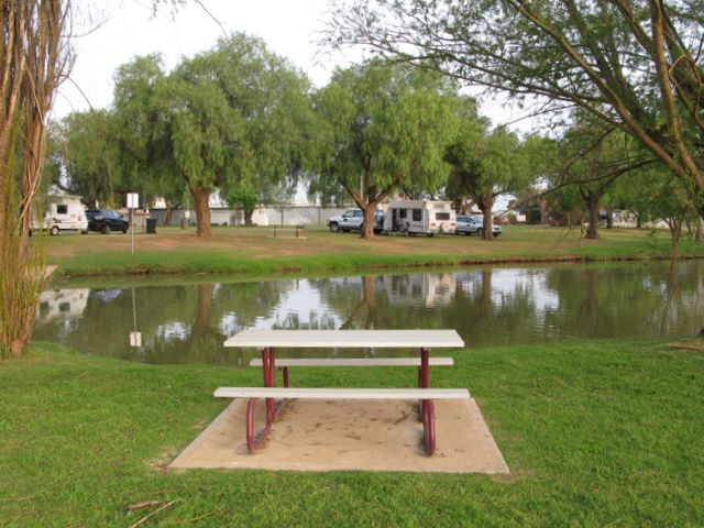 Lockhart Caravan Park - Lockhart: Picnic table in adjacent park