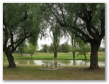 Lockhart Caravan Park - Lockhart: Pleasant picnic area