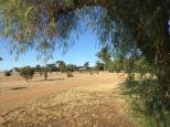 Lockhart Showground - Lockhart: Lots of wide open spaces.