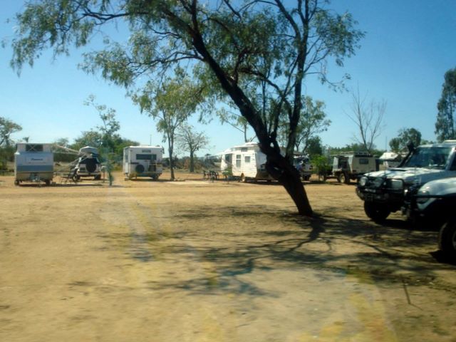 Longreach Tourist Park - Longreach: Powered sites for caravans with some shade from a tree.