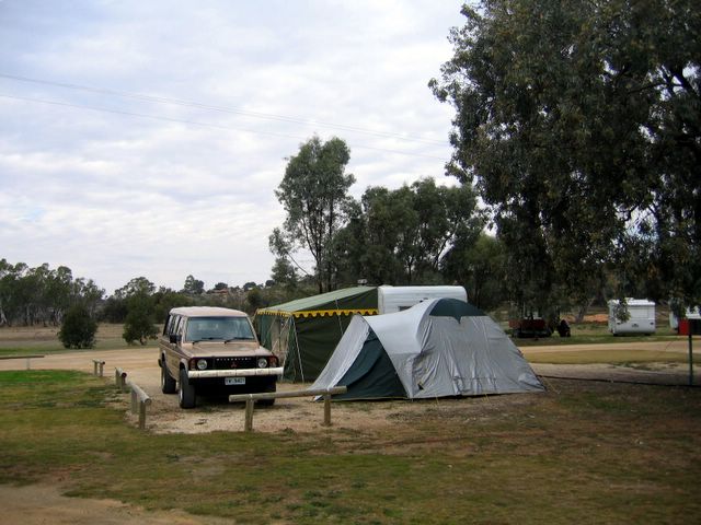 Loxton Riverfront Caravan Park - Loxton: Area for tents and camping