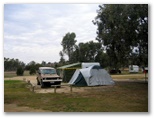 Loxton Riverfront Caravan Park - Loxton: Area for tents and camping