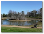 Yowani Country Club - Lyneham: Impact on the drought is shown in this photo.