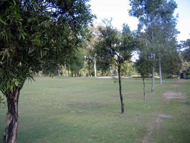 Maclean Golf Course - Maclean: Lots of trees along the edge of the fairway.