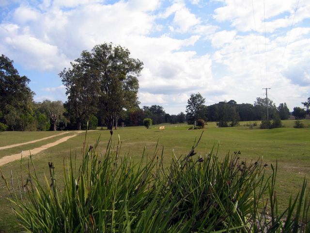 Maclean Golf Course - Maclean: Maclean Golf Course is very attractive course.