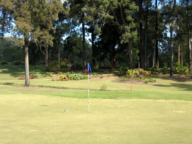 Maclean Golf Course - Maclean: 4th hole green.  The greens on the course are lightning fast.