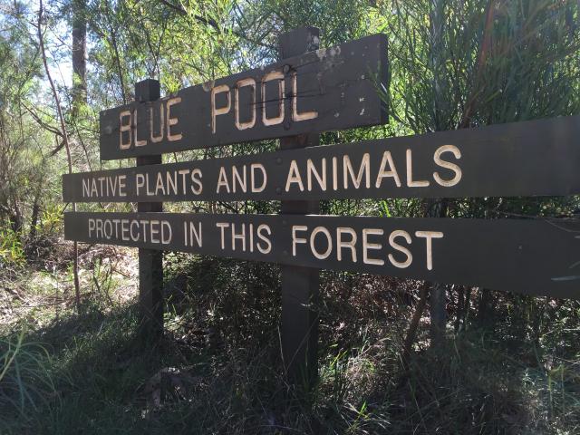 Blue Pools Campground - Briagolong: The Blue Pool welcome sign
