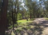 Blue Pools Campground - Briagolong: Camping area