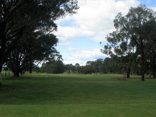 Maffra Golf Course Hole By Hole - Maffra: Fairway view on Hole 4