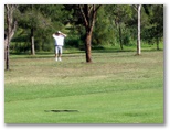 Easts Leisure and Golf Course - Maitland: Red bellied black snake slides across the fairway