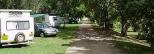 Malanda Falls Caravan Park - Malanda: Shady powered sites for caravans 