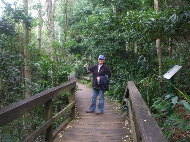 Maleny Showgrounds - Maleny: There is a boardwalk through the rainforest which takes you to Maleny Qld. The entrance is just past the tennis courts