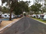 Mannum Riverside Caravan Park - Mannum: Level and grassed sites with nicely paved roads.