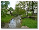 High Country Holiday Park - Mansfield: The park is intersected by this delightful creek