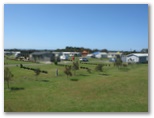 BIG4 Bellarine Holiday Park - Marcus Hill: This is a magnificent modern park well designed and contains excellent facilities.