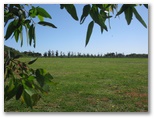 BIG4 Bellarine Holiday Park - Marcus Hill: Area for tents and camping