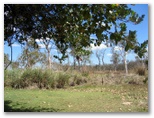 Mareeba Golf Course - Mareeba: The course is surrounded by natural bush