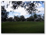 Mareeba Golf Course - Mareeba: Green on Hole 8