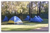 Margaret River Tourist Park and Country Cottages - Margaret River: Area for tents and camping 