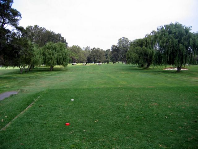 Marrickville Golf Course - Marrickville Sydney: Fairway view Hole 3