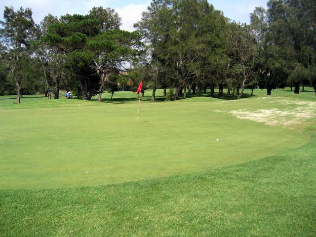 Marrickville Golf Course - Marrickville Sydney: Green on Hole 3