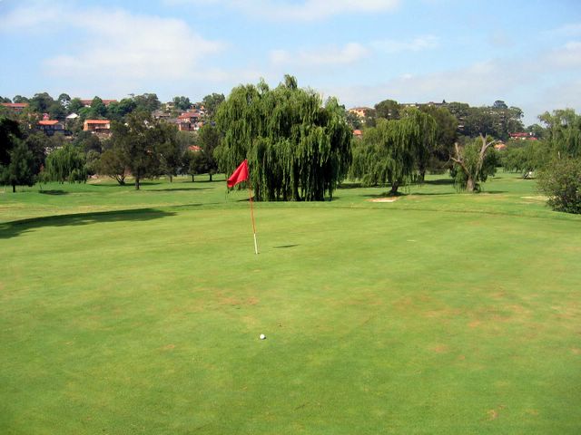 Marrickville Golf Course - Marrickville Sydney: Green on Hole 5