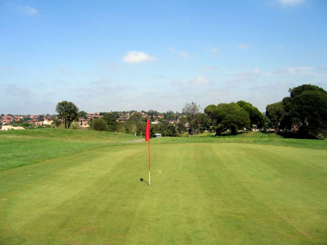 Marrickville Golf Course - Marrickville Sydney: Green on Hole 8