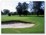 Marrickville Golf Course - Marrickville Sydney: Green on Hole 7