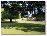 Maryborough Golf Course - Maryborough: Large shady trees line the course