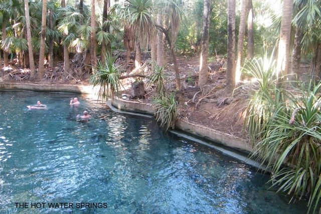 Mataranka Homestead Tourist Resort - Mataranka: Hot water springs