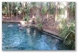Mataranka Homestead Tourist Resort - Mataranka: Hot water springs