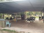 Territory Manor Caravan Park - Mataranka: Camp kitchen