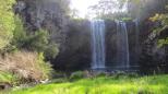 Dangar Falls Picnic Area - Megan: At the bottom of the falls.