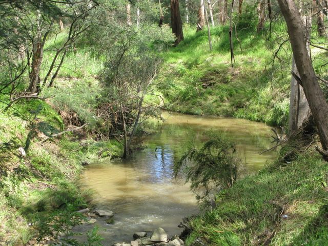 Crystal Brook Tourist Park - Doncaster East Melbourne: Crystal Brook can be seen near the entrance to the park.