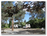 Crystal Brook Tourist Park - Doncaster East Melbourne: Powered sites for caravans