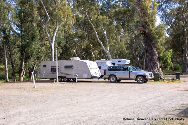 Melrose Caravan Park - Melrose: Melrose Caravan Park, South Australia - large sites.