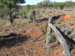 Springs Hills Rest Area - Menindee: Is the fence holding the gate up or the gate holding the fence up ?