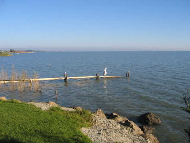 Lake Albert Caravan Park - Meningie: Peaceful Lake Albert at Meningie