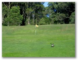 Merewether Golf Course - Adamstown: Green on Hole 15