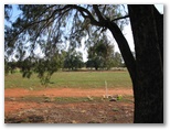 The Old School Camping & Caravan Park - Merriwagga: Area for tents and camping