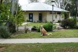Buronga Riverside Tourist Park - Buronga: Amenities for my Mum and Dad are very clean and modern.